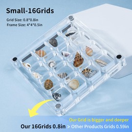 MUXIUNT Multi-Style Clear Acrylic Magnetic Seashell Display Collecting Box, Acrylic Shadow Box for Tiny Treasure Hunting Seashell Holder Display Grid Cabinet Case Box,Display Seashell Jewelry Crystal