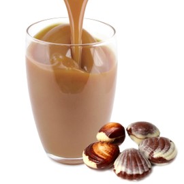 Luxofit Belgische Praline Isotonisches Getränkepulver, Elektrolytgetränk, Natürliche Farbstoffe, L-Carnitin, schnelle und einfache Zubereitung, für Ausdauersport (333 g)