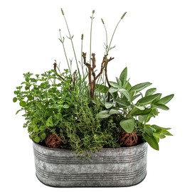 DARO DEKO Balcony Box with Handle Galvanised – 35 x 27 x 24 cm – Balcony Hanger Balcony Pot