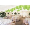 A Liittle Tree 12 PCs Round Paper Lanterns Lamp Shade
