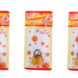 25mm Cast Key Padlock 2ea