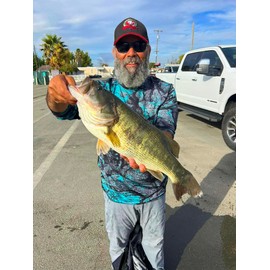 4" Spring Shad Multi Jointed Swimbait Bass Fishing Lure Bait Hard Slow Fast Sinking Life Like Big Gizzard Shad Minnow Bluegill (Male Bluegill)