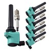 ENA Set of 6 Green Ignition Coil Pack and Platinum