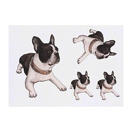 4 x 'French Bulldog' Temporary Tattoos - Water Resistant, Skin-Safe, Non-Toxic Transfers, Mixed Sizes (TO00014847)
