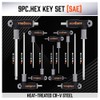 HORUSDY 18-Piece T-Handle allen wrench set, Inch/Metric Long Arm Ball