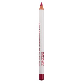 Flirt Matt Lip Liner Long Hold Waterproof 109 Dark Wild Orchid