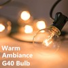 Pallerina 25 Pack G40 Light Bulbs Replacement,1.5 Inch 5 Watt