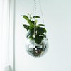 Winkee - Stylish Flower Pot in Disco Ball Shape I