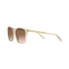 Coach HC8361U CH558 Sunglasses, TRANSPARENT FAWN Frame / BROWN GRADIENT