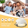 2 Set Flea Traps with 4 Catch Stickers, House Flea