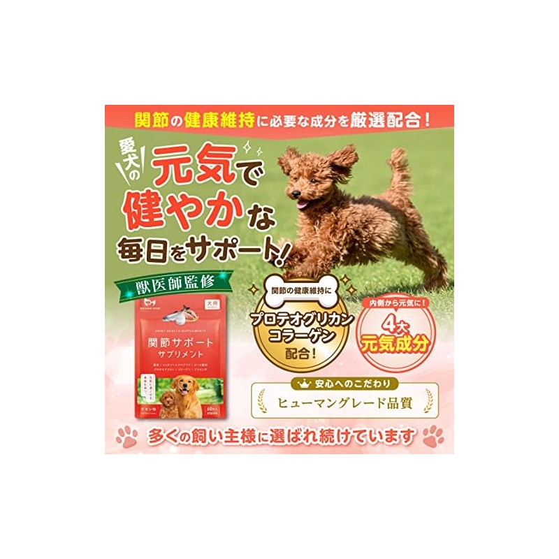 PETLINKMORE Joint Support, Dog Supplement, Joints, Walking, Legs, Made in