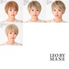 LEO BY MANE L-FWSH001 Heat-resistant Full Wig, Natural Mannish Short