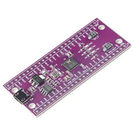 TECNOIOT 1 x W806 MCU development board microcontroller 32-bit WiFi Bluetooth dual mode SoC