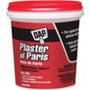 DAP 10312 25 Lb Plaster of Paris Exterior