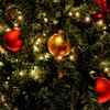 Salcar Christmas Tree Lights with Ring, Christmas Tree Throw-over Fairy