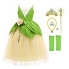 MDYCW Princess Tiana Costume for Girls, Birthday Party Fairy Dress