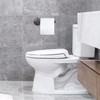 DGYB Suction Cup Toilet Paper Holder - No Drill Adhesive