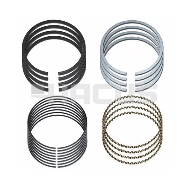 HACUS FPE Piston Ring Set (1.00MM) Clark 918501 Hacus -