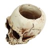 Skull Head Flower Pot Resin High Strength Clear Shape Skull