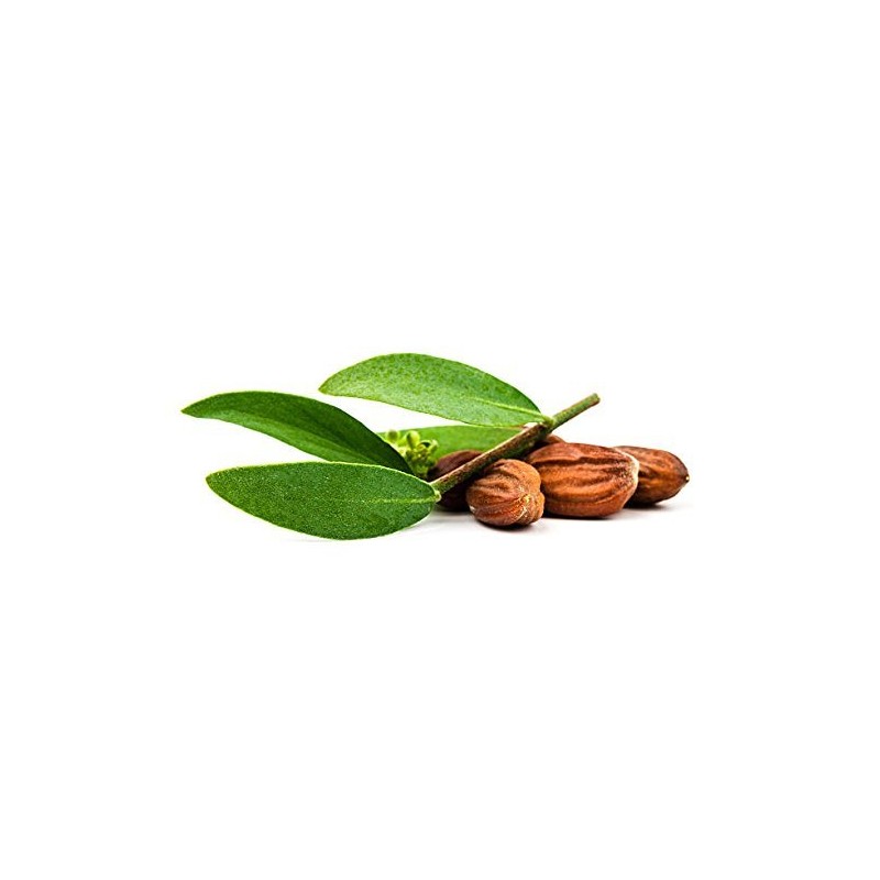 Chear Premium Gold Californian Simmondsia Chinensis Jojoba Oil 200ml -