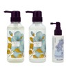 eLGON Anti-Gray Perfect Set, Gray Hair Prevention Care, Hair Loss