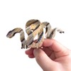 Mysterious Snake Hair Clip,Funny Acetate Hair Clip,Big Claw Clips for
