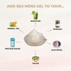 Herb Boss Wild-Crafted Jamaican Sea Moss Gel – 24 fl