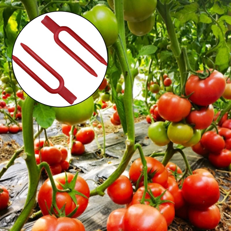 dangjuacua 200PCS Plant Pins Set – Strawberry Plant Support, Reusable