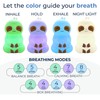 Mindsight 'Breathing Buddha' Slow-It-Down Sloth Guided Visual Meditation Tool for