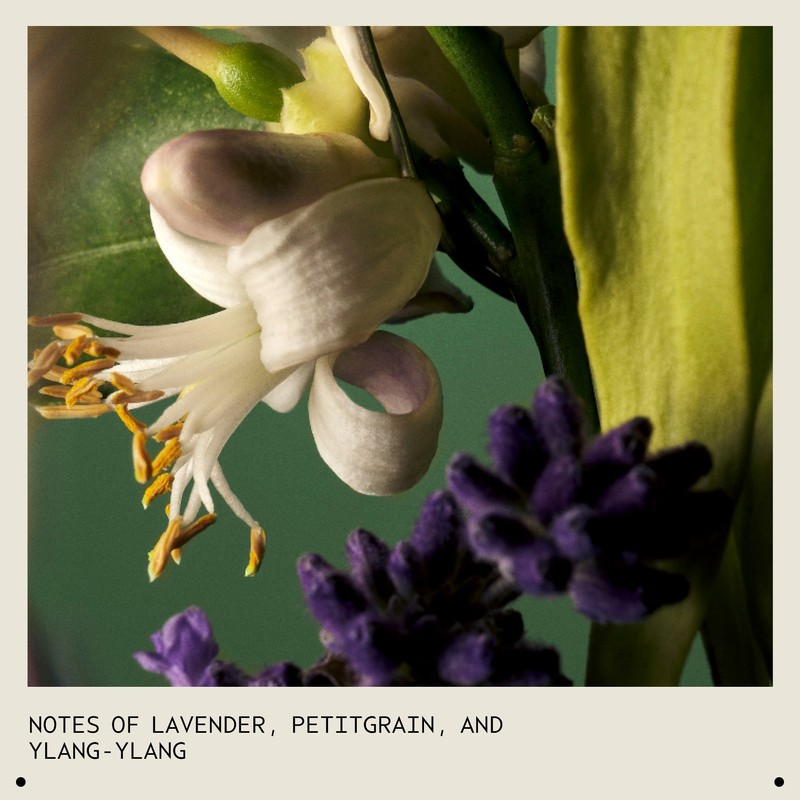 Aveda Abundant Blowout 150ml