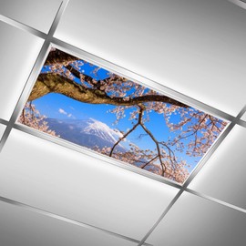 ZAQIO 2Pack Fluorescent Light Covers Ceiling Light, Mount Fuji Magnetic Ceiling Light Cover Classroom Lights Covers Classroom Supplies for School Classroom Home Office, 4 X 2 Feet