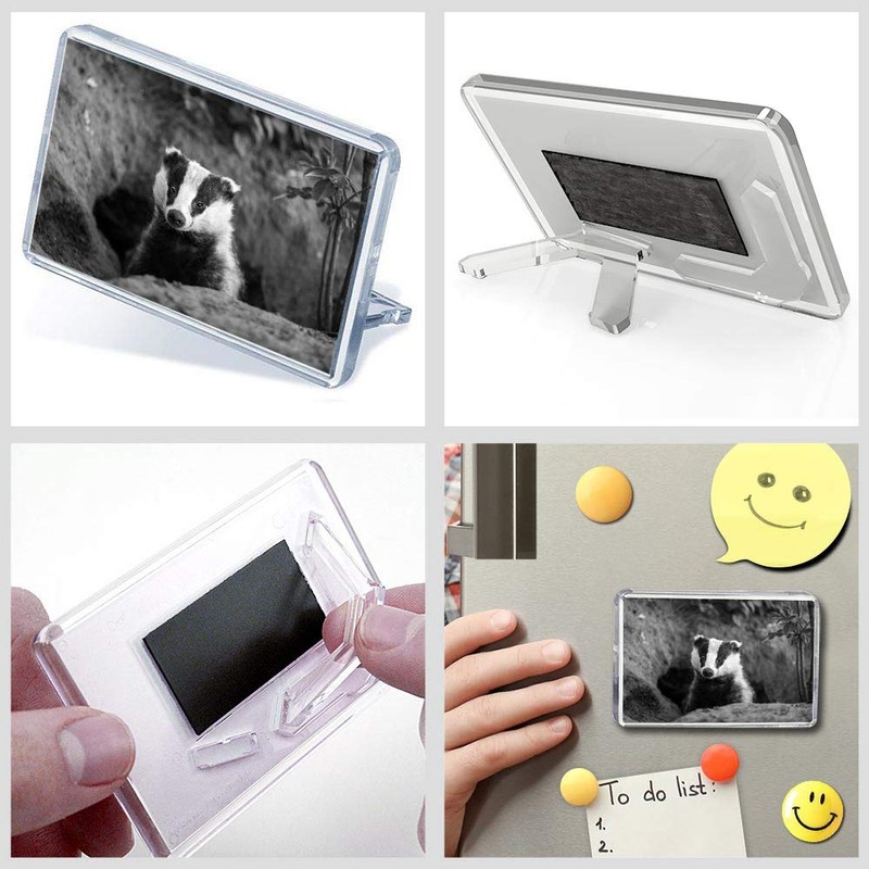 1 x Fridge Magnet - Badger Sett Wildlife Animal #36727