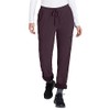 Eddie Bauer Women's Polar Fleece-Lined Pull-On Pants, Deep Eggplant, 6