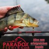 Paradox Fishing Infinity Jig Spinner Set di 5 esche da