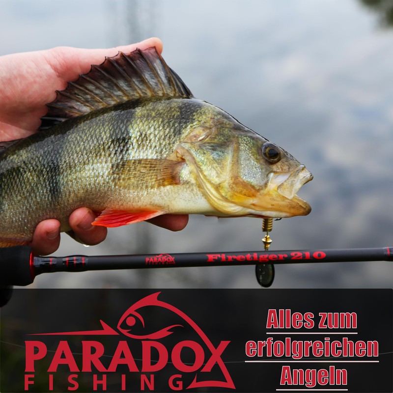 Paradox Fishing Infinity Jig Spinner Set di 5 esche da