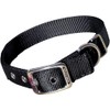 Hamilton Double Thick Nylon Deluxe Dog Collar, 1-Inch by 28-Inch,
