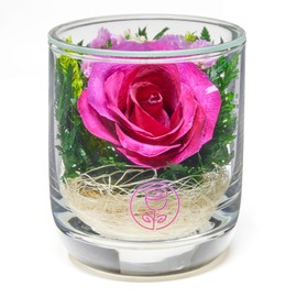 In Flores Veritas | Fresh Cut Preserved Roses in a Sealed Glass Vase | Long Lasting Bouquet Stays Fresh for 5+ Years | No Water Needed | Allergy Free | Unique Present Gift (Single Dark Pink)