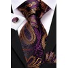 Hi-Tie Men Ties Bowtie Set Silk Necktie Bow Tie Pocket