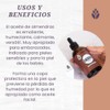 LilaLavanda - Kit de Aceites para Masaje, Set de 3