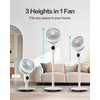 Candy Standing Fan for Bedroom, 3 Heights Adjustable Pedestal Fan