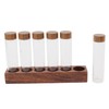 Coffee Bean Storage Tubes with Walnut Wood Stand Lid Glass