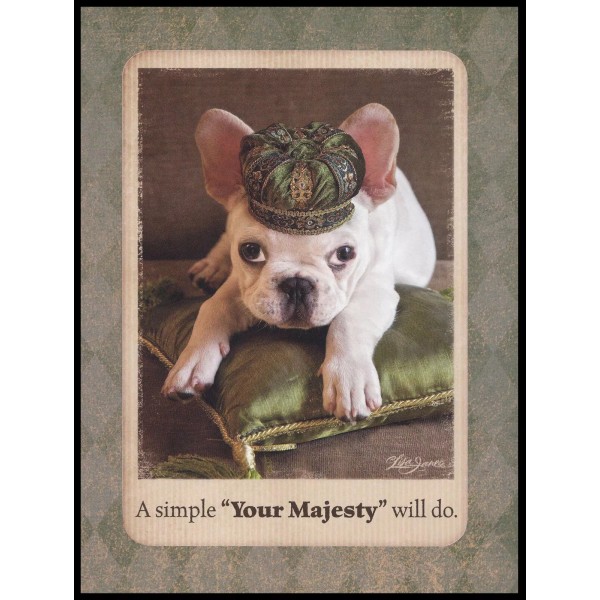 Leanin' Tree Greeting Card - Dog Puppy White French Bulldog