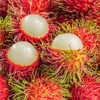 Fruits in Syrup (Rambutan with Pineapple) - 20oz (Pack of