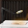 Magnifying Glass with Light and Clamp, Magnifying Lamp with 4.2''