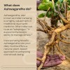 Niwali Ashwagandha Root Herbal Supplement Stress Relief, Mood, & Energy