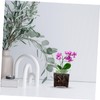 SUPVOX 5pcs Acrylic Orchid Pots with Saucers Transparent Nursery for