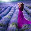 Aceite Esencial de Lavanda Celeste Essences, 10 Mililitros, Aromaterapia, Difusor,
