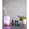 Woolzies Lavender 100% NATURAL Pure Essential oil - 2 pack