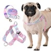 PororoPet Print Dog Leash - Lightweight & Durable Leash with