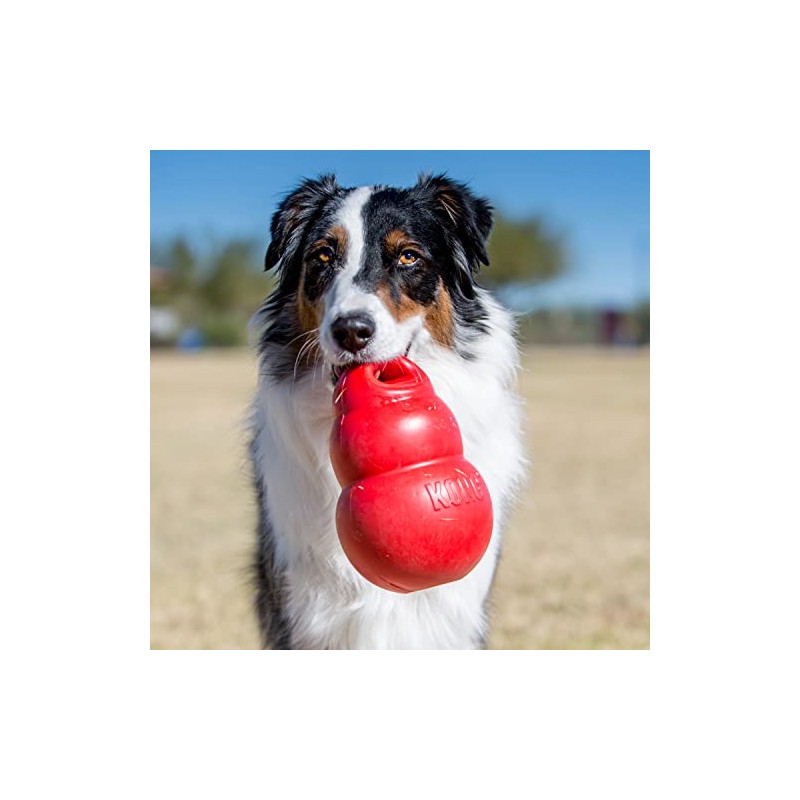 KONG Bounzer Dog Toy, Large, Red